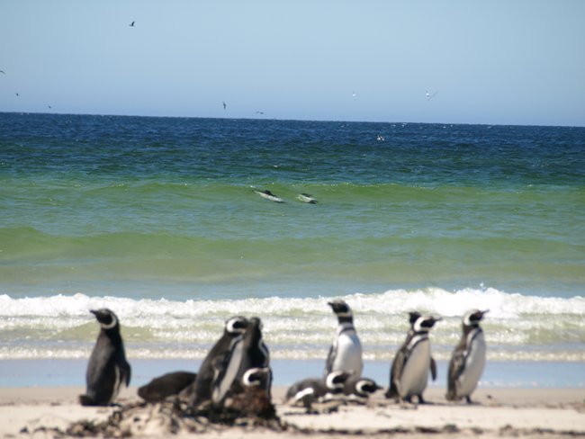 ../../Pictures/241209/054 Toninas overas.JPG